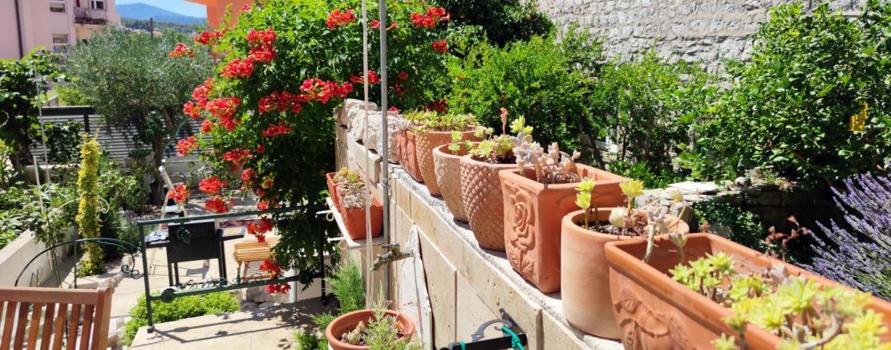 Apartment Alena With Terrace And Garden Center Jelsa Jelsa  Exterior foto